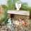 French nativity creche