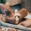 luxury easter chocolate