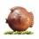 luxury chocolate easter eggs
