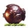 Poisson en chocolat de Paques bio garni