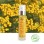 top anti aging product - immortelle macerat