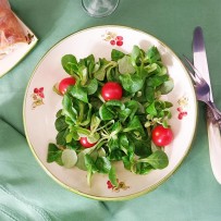 Rustic salad plates with puppy decor