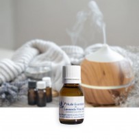 best provence lavender essential oil