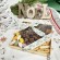 Coffret cadeau 13 desserts provençaux