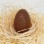 solid chocolate egg milk