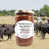 Camargue bull gardiane