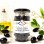 black olives with herbes de provence