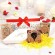 Best sweets and confectionery Traditions of Provence