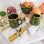 rectangular placemats in cotton pattern lemon